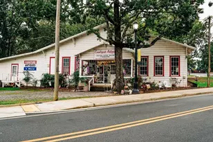 382 Scarlett Rose Way, Hoschton, GA 30548 - Photo 91