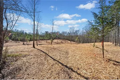 426 Mt. Olive Church Lane, White, GA 30184 - Photo 3