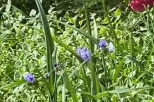 58 Glenn Eagles Way, Hiram, GA 30141 - Photo 37