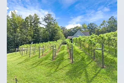 253 Happy Trails Way, Jasper, GA 30143 - Photo 3