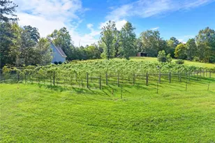 253 Happy Trails Wy, Jasper, GA 30143 - Photo 135