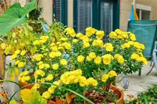 955 Juniper St NE, Atlanta, GA 30309 - Photo 19