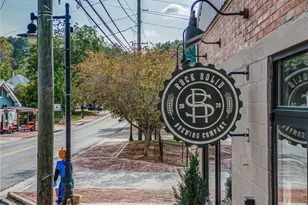 145 Highlands Chase, Ball Ground, GA 30107 - Photo 79