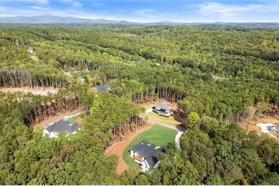 145 Highlands Chase, Ball Ground, GA 30107 - Photo 69