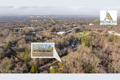 226 Chestnut Avenue, Demorest, GA 30535 - Photo 45