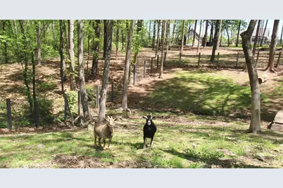 3125 Pine Mountain Circle NW, Kennesaw, GA 30152 - Photo 89