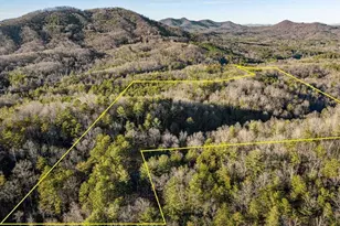 178 Arp Rd, Mineral Bluff, GA 30559 - Photo 71