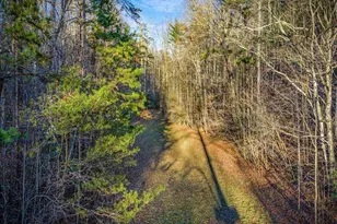 178 Arp Rd, Mineral Bluff, GA 30559 - Photo 65