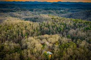 178 Arp Rd, Mineral Bluff, GA 30559 - Photo 55