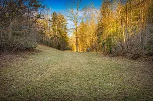 178 Arp Rd, Mineral Bluff, GA 30559 - Photo 47