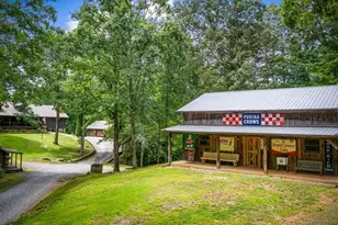 178 Arp Rd, Mineral Bluff, GA 30559 - Photo 61