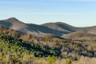 178 Arp Rd, Mineral Bluff, GA 30559 - Photo 3