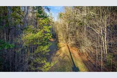 178 Arp Road, Mineral Bluff, GA 30559 - Photo 63
