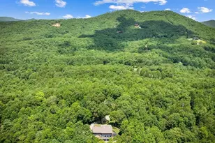 178 Arp Rd, Mineral Bluff, GA 30559 - Photo 69