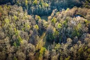 178 Arp Rd, Mineral Bluff, GA 30559 - Photo 57