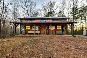 178 Arp Rd, Mineral Bluff, GA 30559 - Photo 53