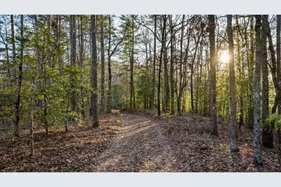178 Arp Road, Mineral Bluff, GA 30559 - Photo 43