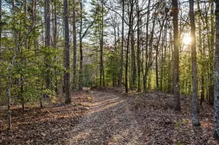 178 Arp Rd, Mineral Bluff, GA 30559 - Photo 43