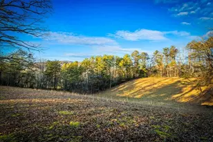 178 Arp Rd, Mineral Bluff, GA 30559 - Photo 51