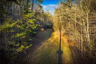 178 Arp Rd, Mineral Bluff, GA 30559 - Photo 49