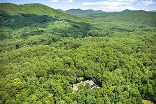 178 Arp Rd, Mineral Bluff, GA 30559 - Photo 55