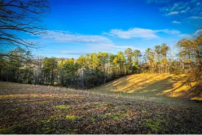 178 Arp Road, Mineral Bluff, GA 30559 - Photo 51