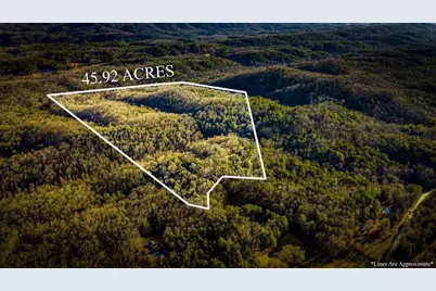 178 Arp Road, Mineral Bluff, GA 30559 - Photo 3
