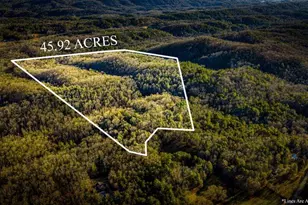 178 Arp Rd, Mineral Bluff, GA 30559 - Photo 3