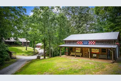 178 Arp Road, Mineral Bluff, GA 30559 - Photo 59