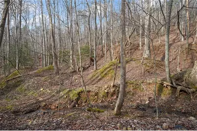 50 Old Stamp Mill Road, Dahlonega, GA 30533 - Photo 11