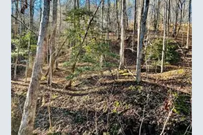 50 Old Stamp Mill Road, Dahlonega, GA 30533 - Photo 1