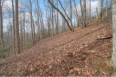 50 Old Stamp Mill Road, Dahlonega, GA 30533 - Photo 15