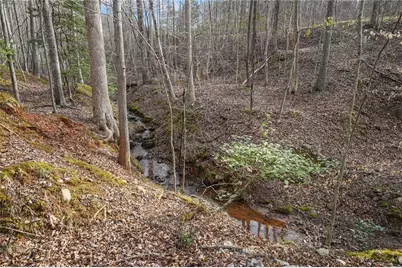 50 Old Stamp Mill Road, Dahlonega, GA 30533 - Photo 7