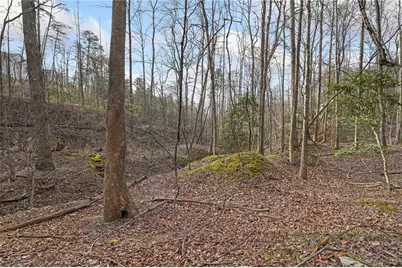 49 Old Stamp Mill Road, Dahlonega, GA 30533 - Photo 11