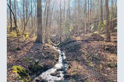 49 Old Stamp Mill Road, Dahlonega, GA 30533 - Photo 1