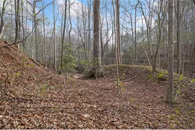 49 Old Stamp Mill Road, Dahlonega, GA 30533 - Photo 7