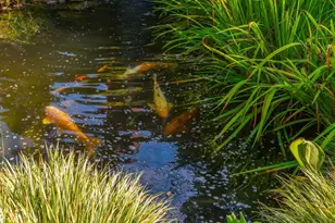 220 Edwards Brook Ct, Canton, GA 30115 - Photo 69