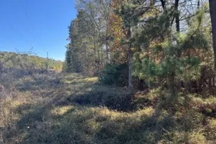 4020 Gold Springs Pass, Villa Rica, GA 30180 - Photo 5