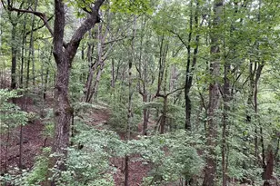 456 Poverty Acres Rd, Murrayville, GA 30564 - Photo 23