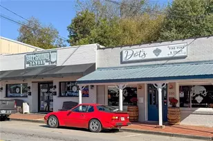 255 Lowry St, Ball Ground, GA 30107 - Photo 27