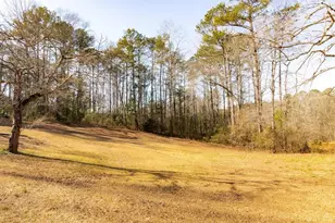 2687 Hwy 155 N, McDonough, GA 30252 - Photo 57