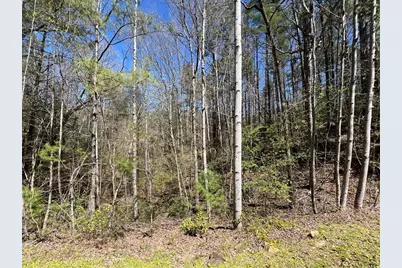 0 Trout Line Court, Talking Rock, GA 30175 - Photo 13