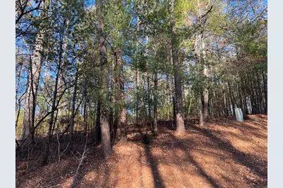 0 Trout Line Court, Talking Rock, GA 30175 - Photo 19