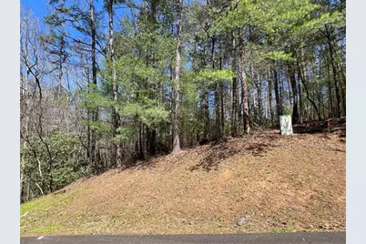 0 Trout Line Court, Talking Rock, GA 30175 - Photo 1
