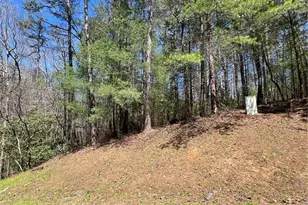 0 Trout Line Ct, Talking Rock, GA 30175 - Photo 1