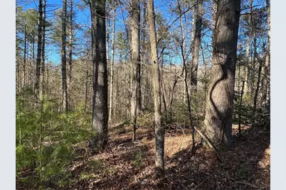 0 Trout Line Court, Talking Rock, GA 30175 - Photo 17