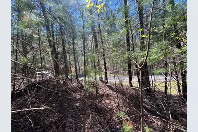 0 Trout Line Court, Talking Rock, GA 30175 - Photo 11