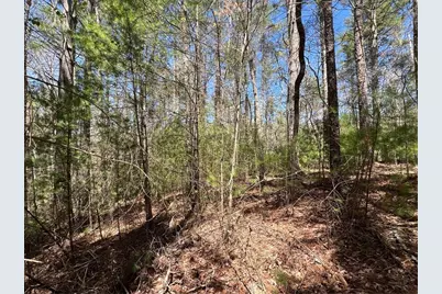 0 Trout Line Court, Talking Rock, GA 30175 - Photo 3