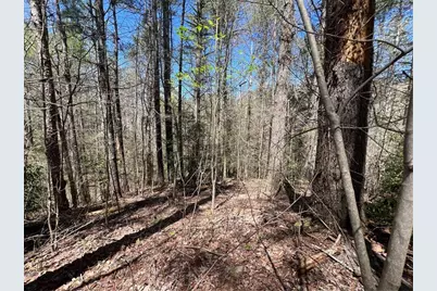 0 Trout Line Court, Talking Rock, GA 30175 - Photo 5