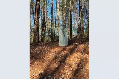 0 Trout Line Court, Talking Rock, GA 30175 - Photo 15